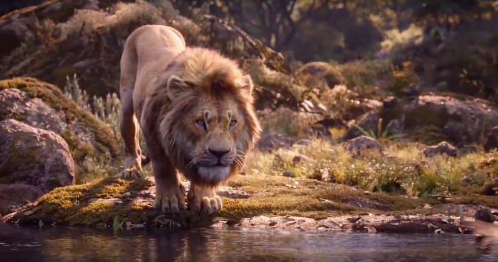 the lion king live action grown simba