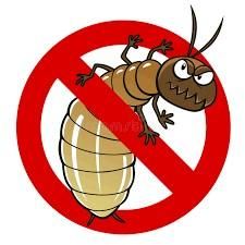 The Most Effective Method of Termite Control