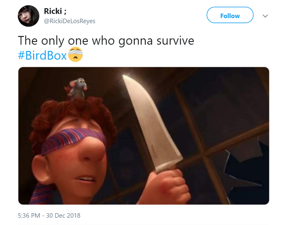 The only one who gonna survive #BirdBox