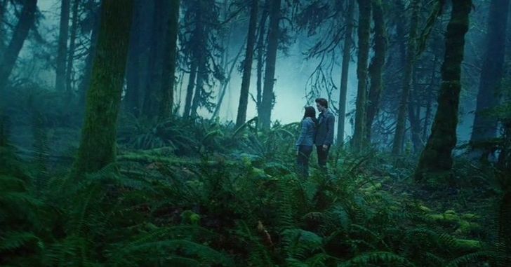 The Twilight Series movie - couple standing in woods