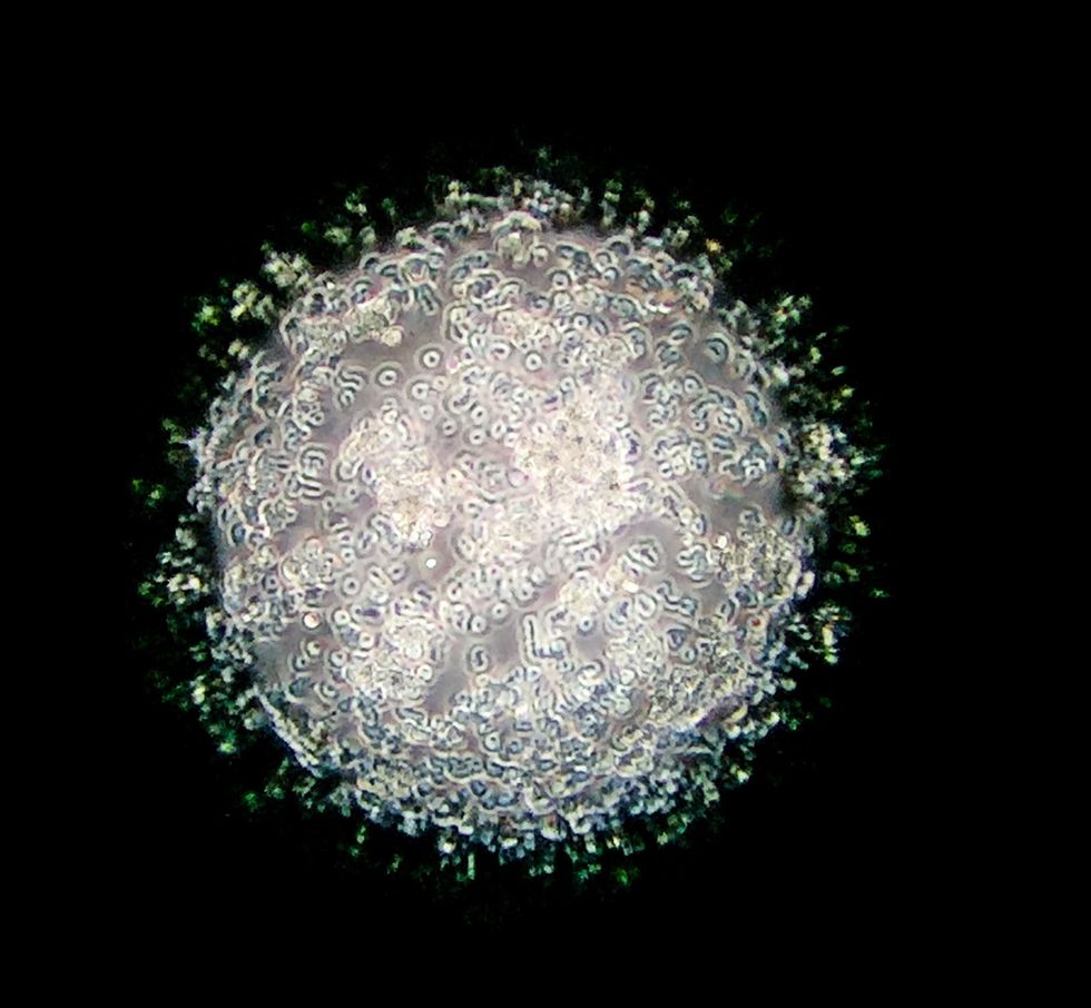 We're College Students, We're Not Supposed To Know Everything