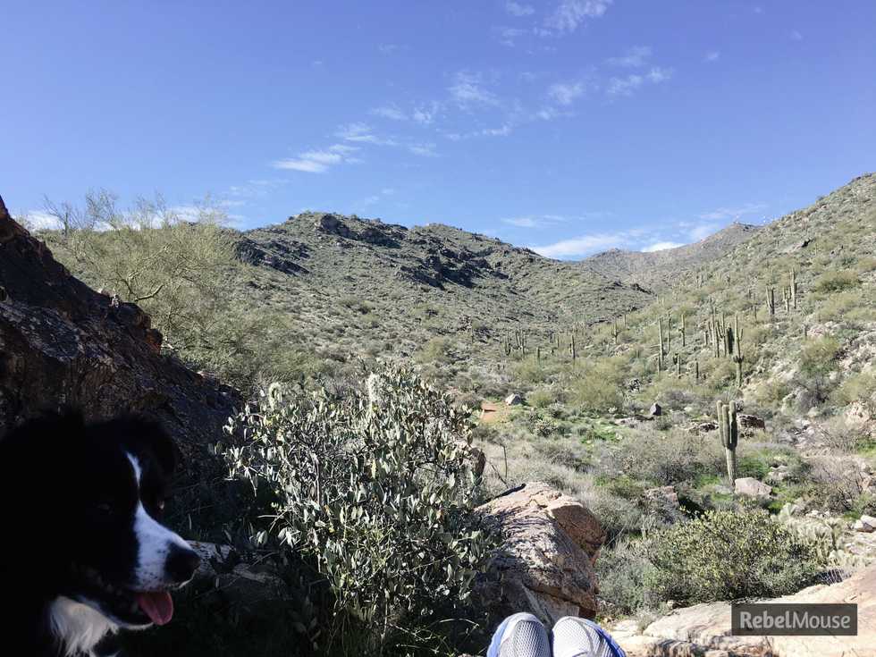 Top of goat camp trail (Personal picture)