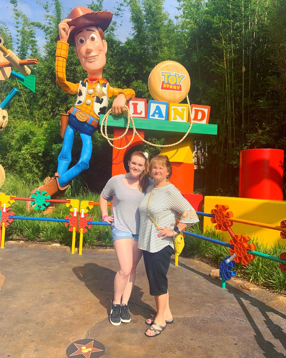 Toy Story Land at Disney