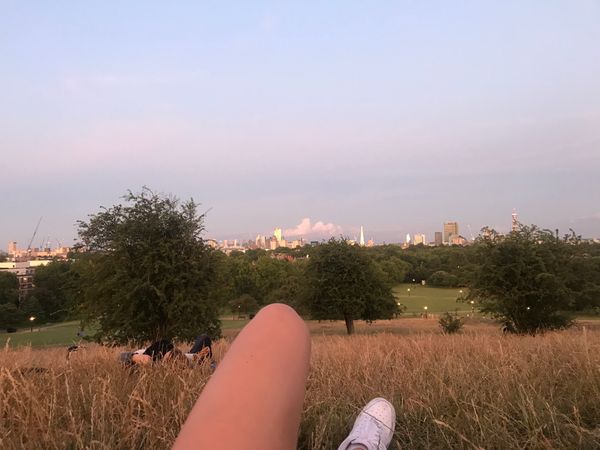 Heads Up, Start Saving Now Because Money Doesn't Grow On Trees And Your Parents Aren't A Bank