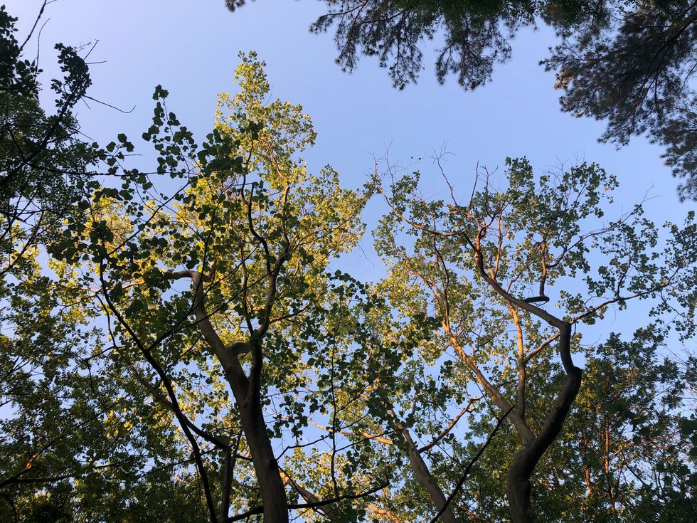 What to do instead of taking a walk?