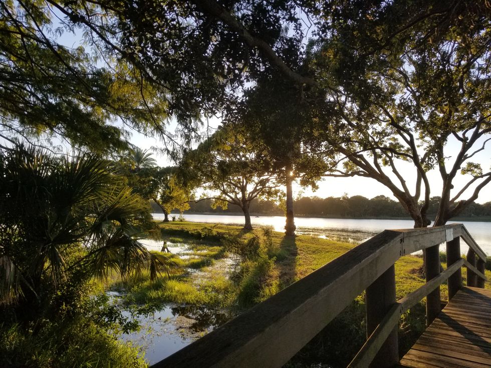 Tress, lake, and bridge in golden sunlight
