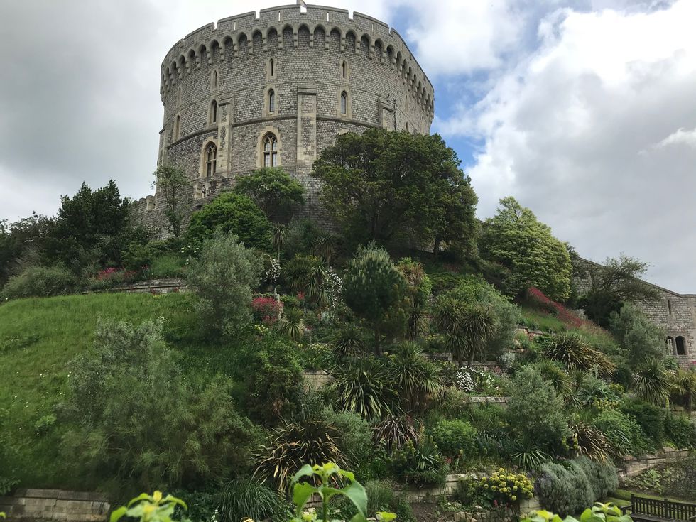 \u200bEmily Hendricks