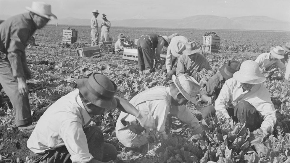 us japanese internment camps