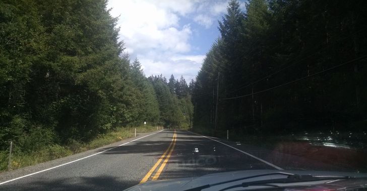 View through a windshield at a road with large evergreen trees on both sides and white clouds and blue sky above