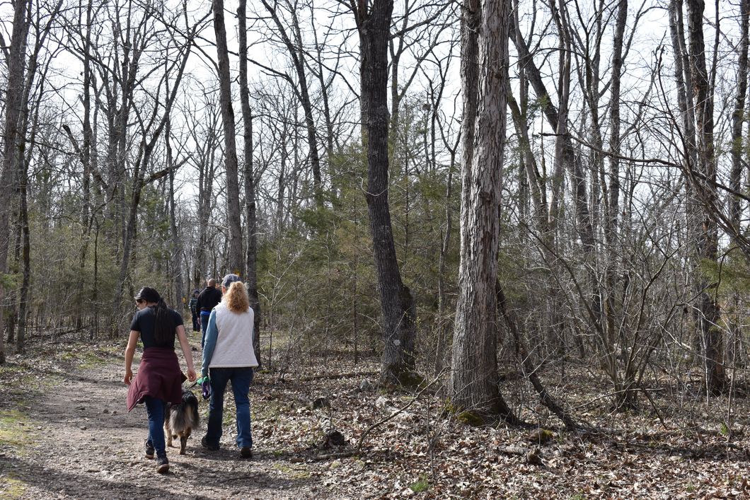 Quarantine Causes A Collective Return To Nature