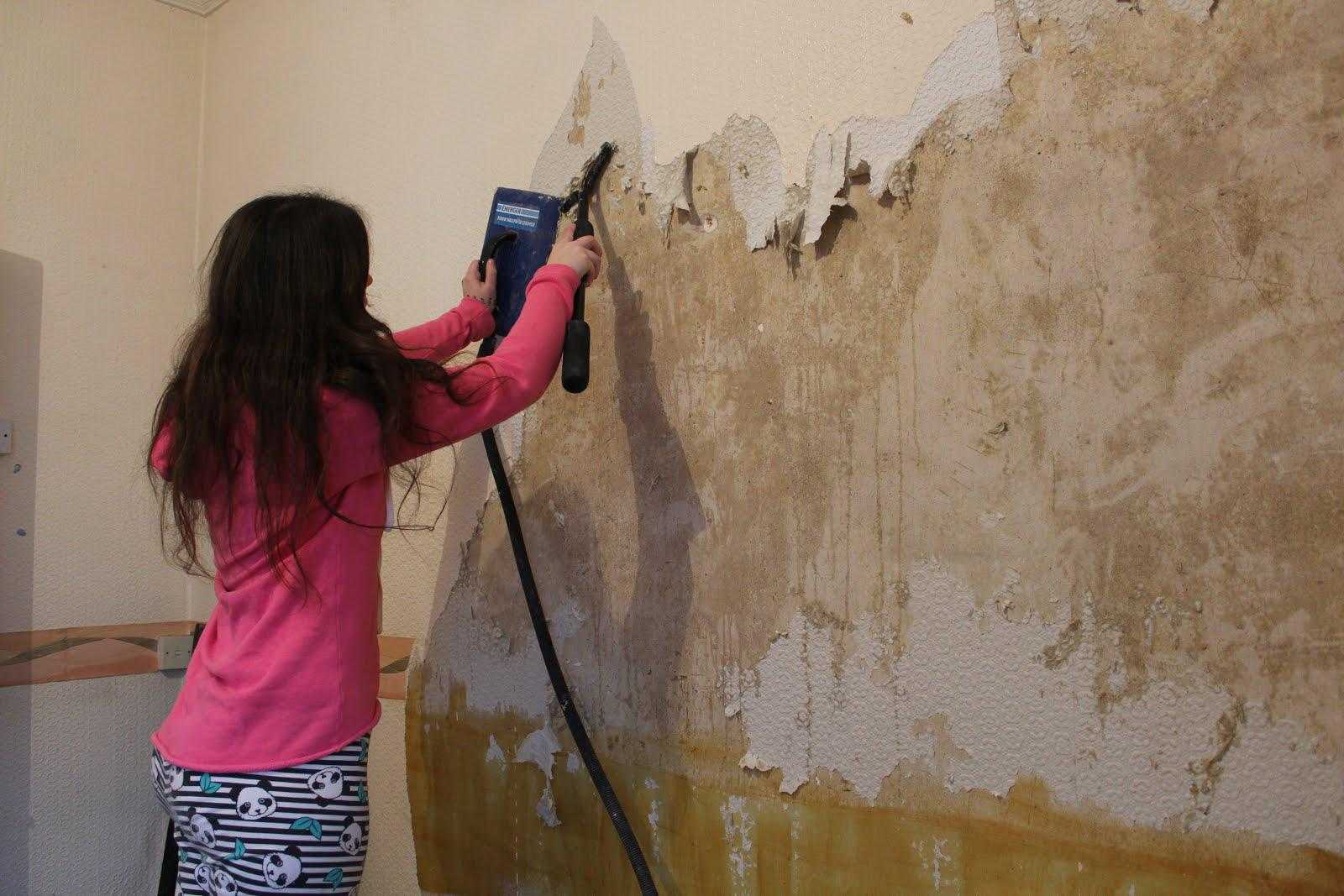 Wallpaper Removal