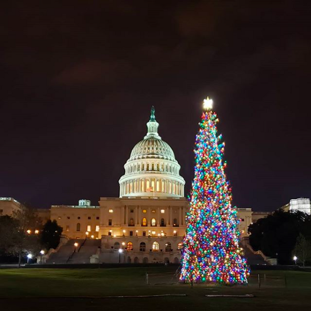 Washington D.C. at Christmas