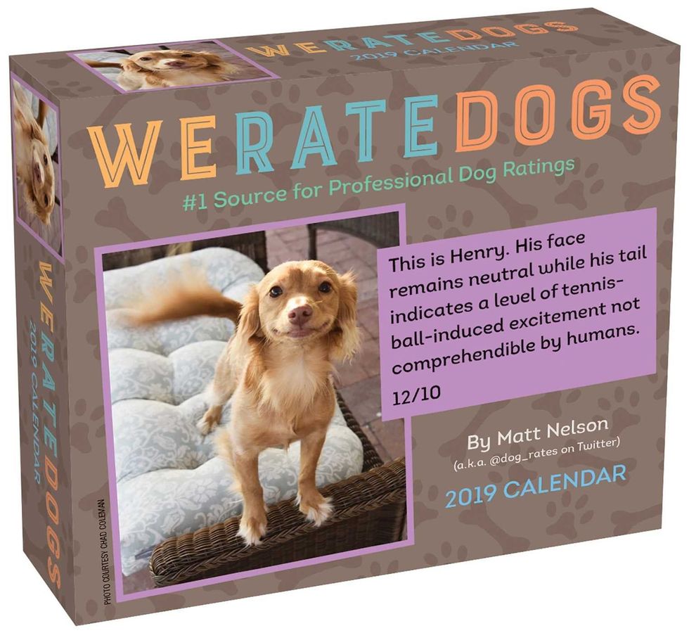 we rate dogs calendar
