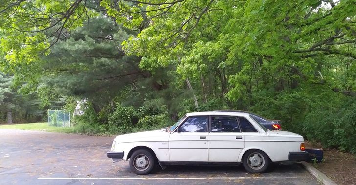 White 1983 Volvo sedan sitting in a parking space under trees
