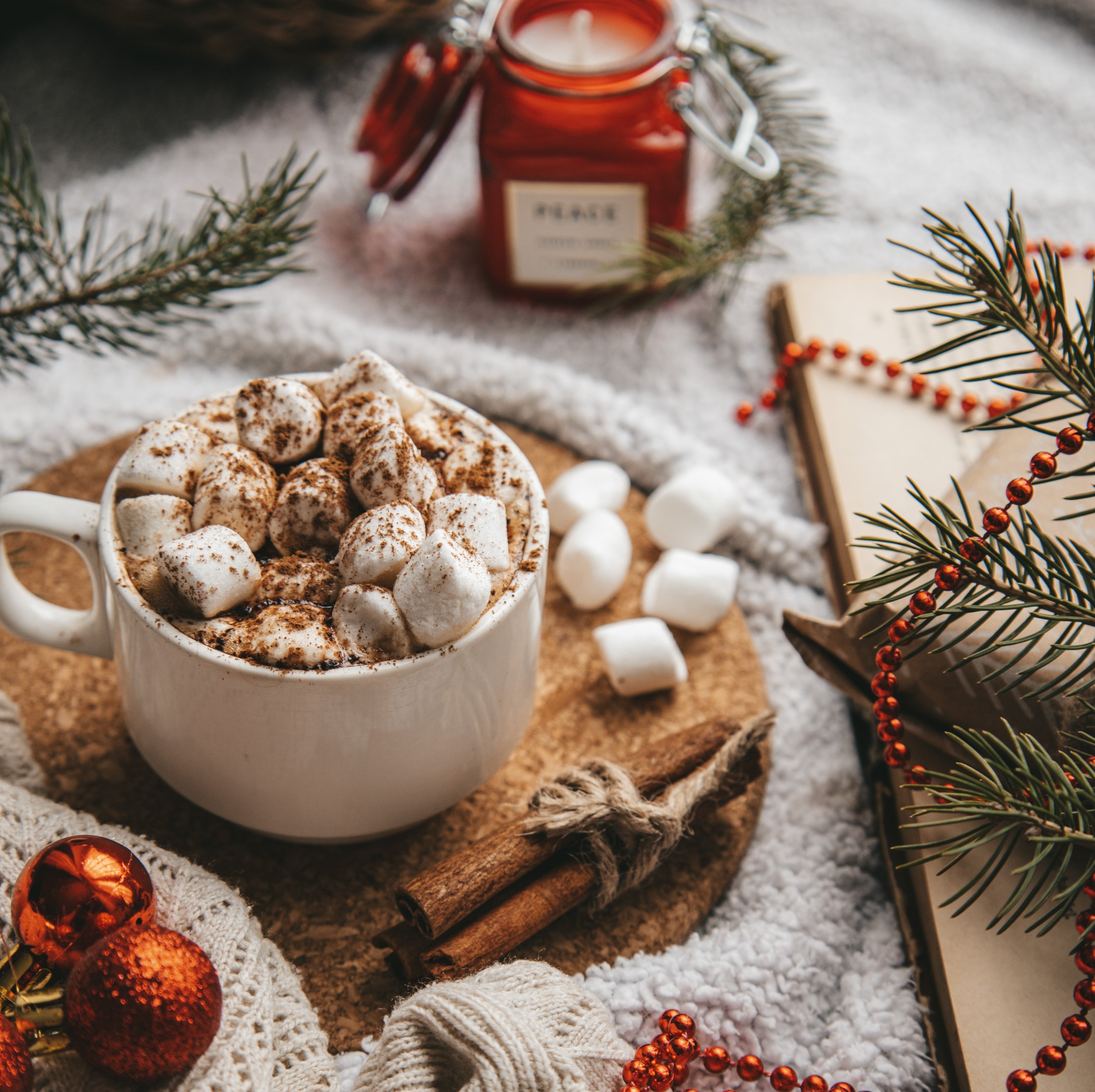 White ceramic mug full of hot chocolate with marshmellow and cinamon topping.