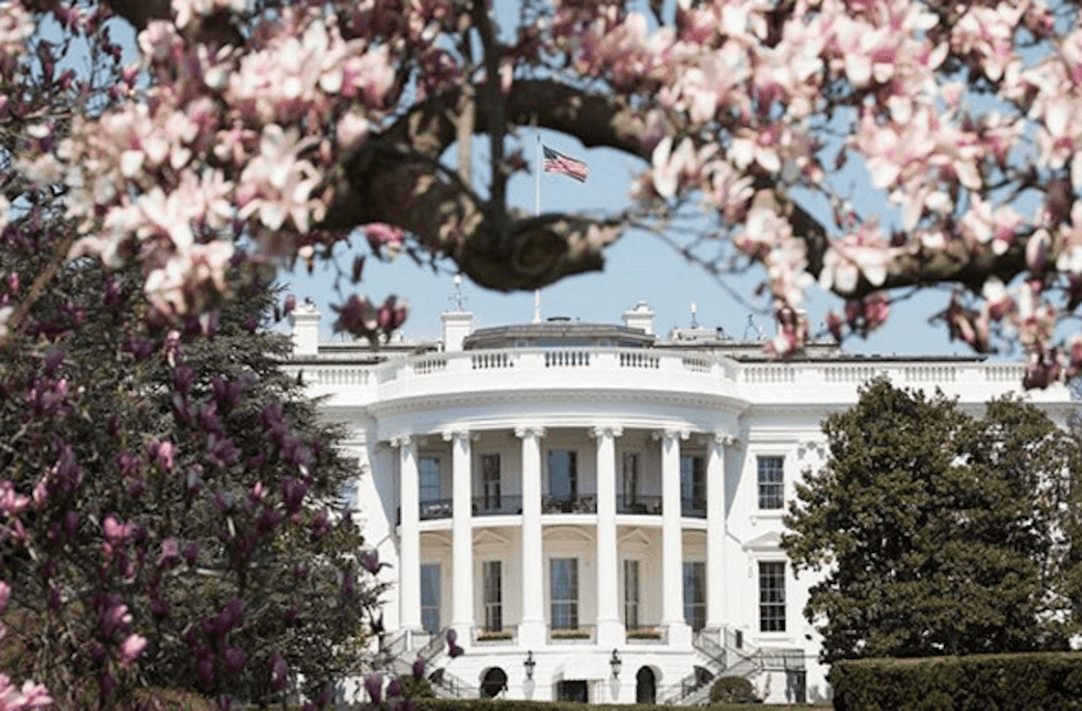 white house