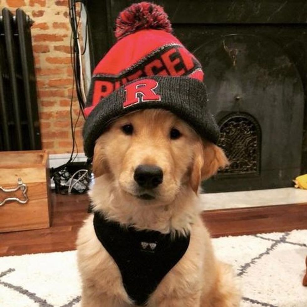 Woman holding a Christmas gift